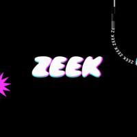 ZeekNetwork